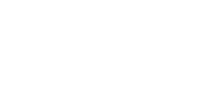 Nextdaygps Logo