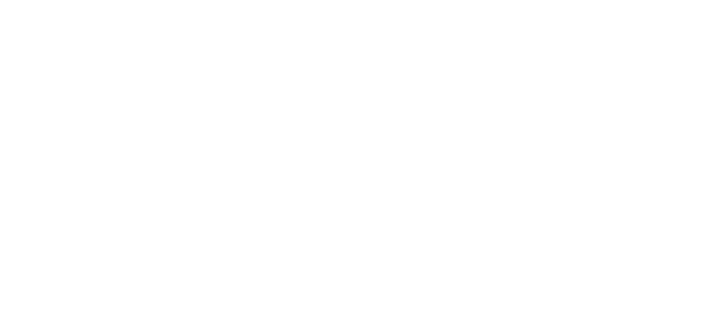 Nextdaygps Logo